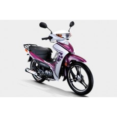 建設摩托 彎梁JS110-9C 靈穎雅風版